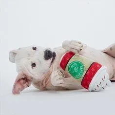 $18 ONLY: BarkShop Hazelmutt Latte Dog Plush Toy