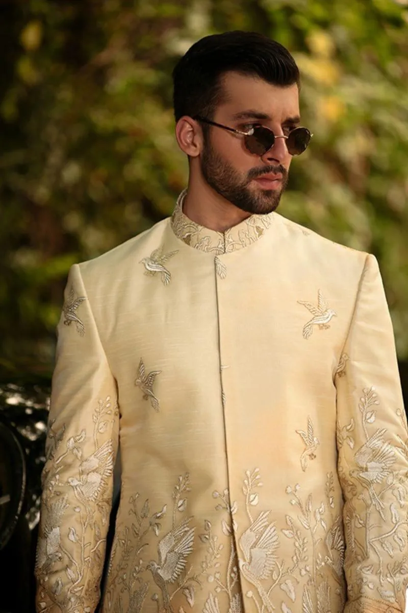 GEM Garments - Squab - Sherwani - Biege - 1 Piece - Viscose Polyester