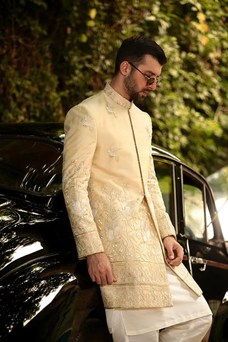 GEM Garments - Squab - Sherwani - Biege - 1 Piece - Viscose Polyester